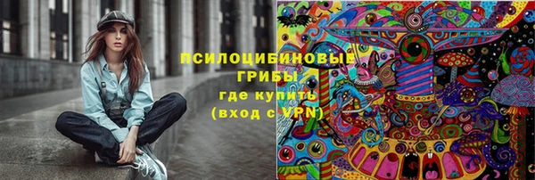 прущая мука Богданович